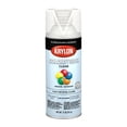 thumbnail image 1 of KRYLON/SHERWIN WILLIAMS KRYLON / SHERWIN WILLIAMS KR5547, 1 of 1