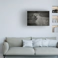 thumbnail image 2 of Canvas Wall Art - Gordon Semmens 'Woodgrain Antiques 15' Wall Art for Living Room, Bedroom, or Office Décor by Trademark Fine Art - 19 x 12 Inches, 2 of 4