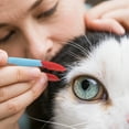 thumbnail image 2 of Pet Eye Cleaning Brush For Dogs And Cats Ergonomic Grooming Comb For Tear Stain Removal, Eye Booger Cleaner For Small Pets，A, 2 of 4