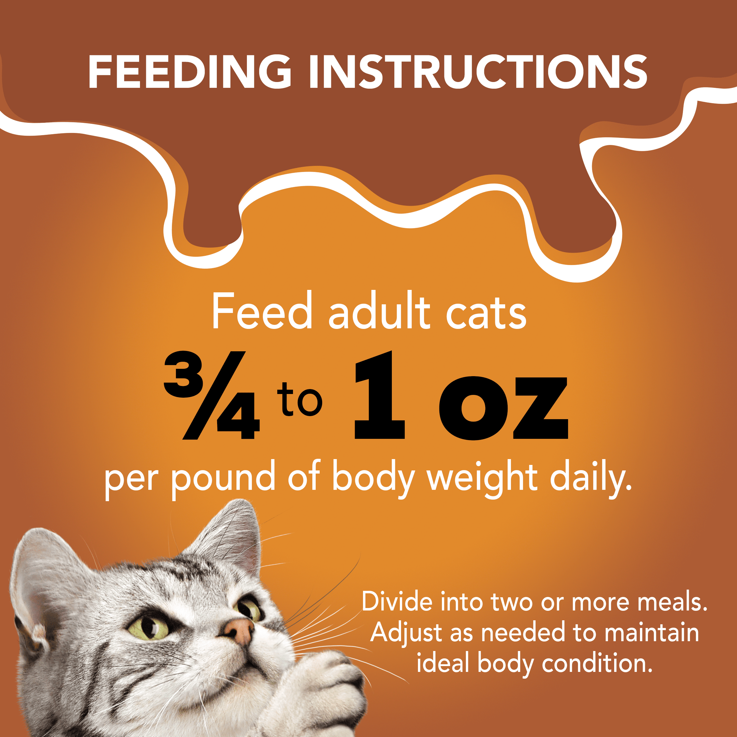 friskies extra gravy pate cat food