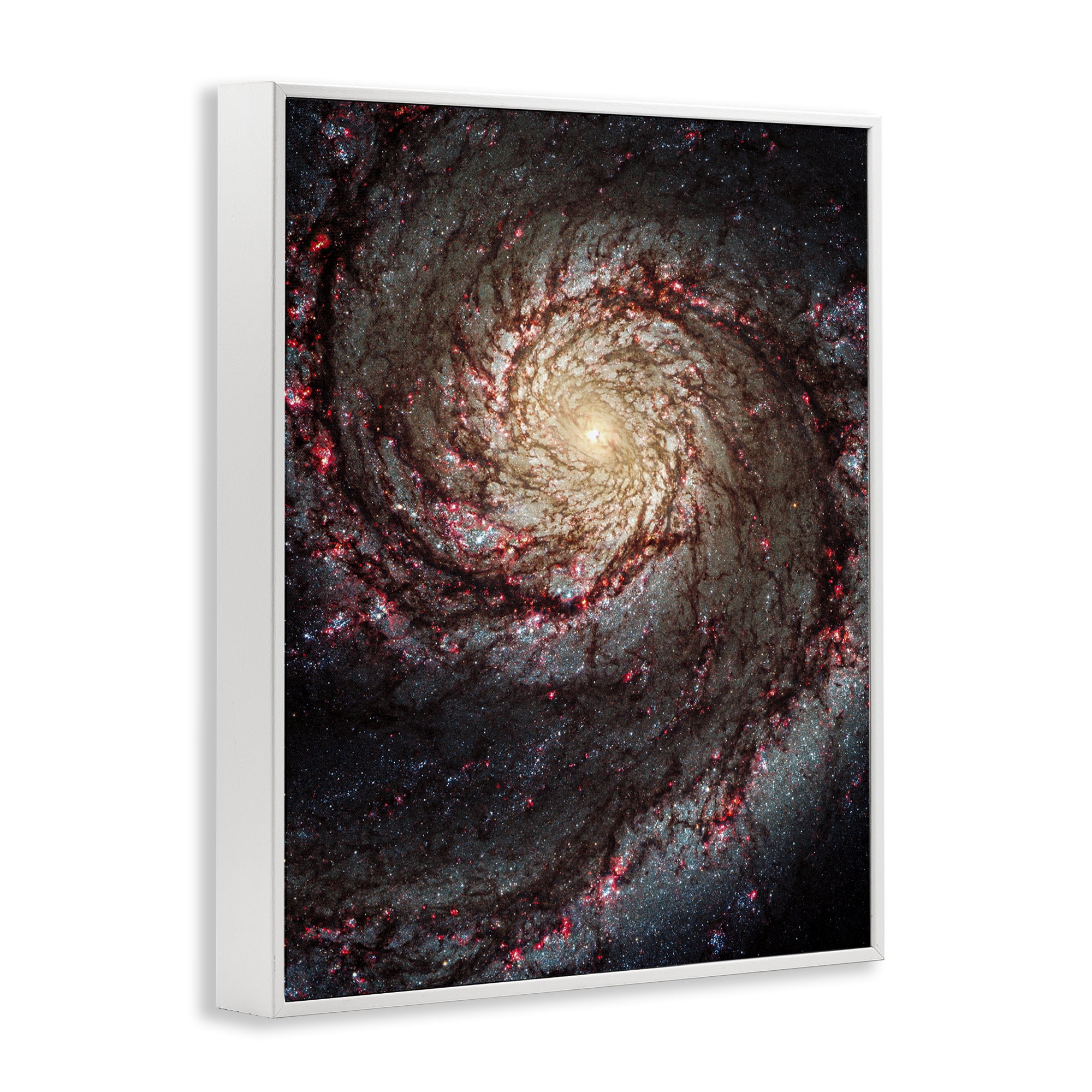 Stupell Industries Great Beyond Nebula Animals & Insects Photography White Framed Art Print Wall Art, 16 x 20