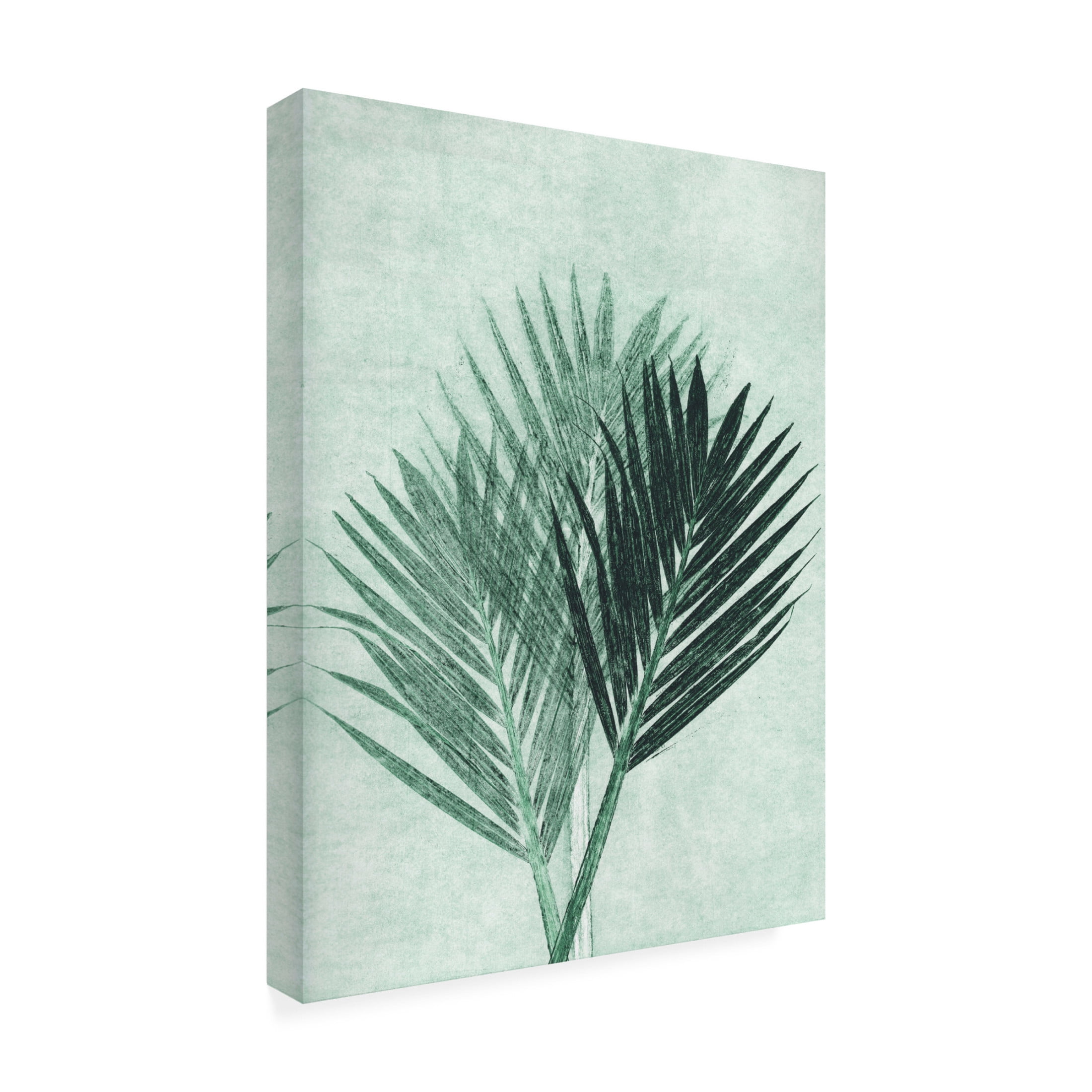 Canvas Wall Art - Pernille Folcarelli 'Palm 4 Green' Wall Art for Living Room, Bedroom, or Office Décor by Trademark Fine Art - 35 x 47 Inches