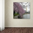 thumbnail image 4 of Trademark Fine Art "Washington Blossoms" Canvas Art by CATeyes, 4 of 4
