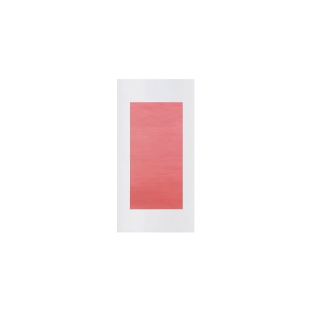 Bady Hair Removal Wax Paper 2 Sided Handy Bikini Line Face Leg Armpit Body Gentle StickerRed