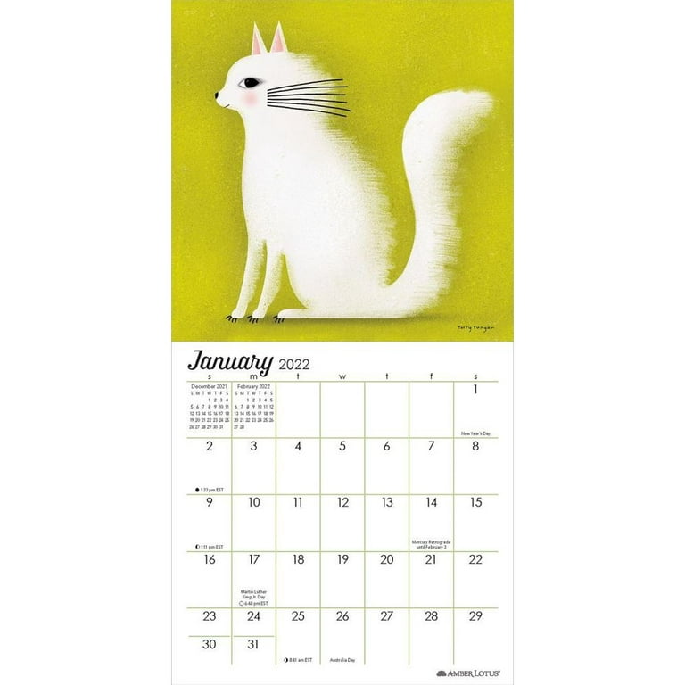 Feline 2024 Wall Calendar: Terry Runyan's Cats (Wall)