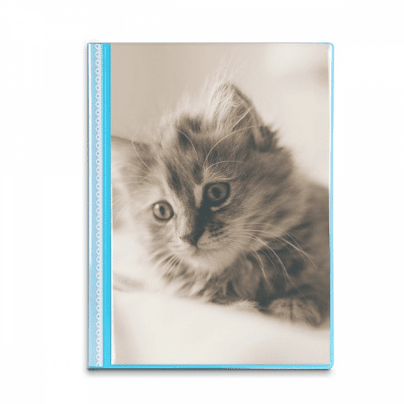 Animal Kitty Gray Cat Photograph Book Sheet Protectors Portfolio Binder Folder