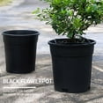 thumbnail image 3 of Macetas de galón negras de plástico Cateissary 5 piezas Jardín y Patio calibre 16, 3 of 6