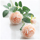 thumbnail image 1 of Xiao Hua 6 flores artificiales de peonía, flores falsas, flores artificiales para decoración de bodas, 1 of 5