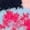 Pink/Stitch 3D Pom, variant on Disney Stitch Women's Holiday 3D Cozy Crew Socks, 1-Pack, Size 4-10