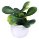 thumbnail image 2 of 4 Pieces Modern 1/12 Potted Plants Fairy Room Bedroom Decor Zulema none, 2 of 8