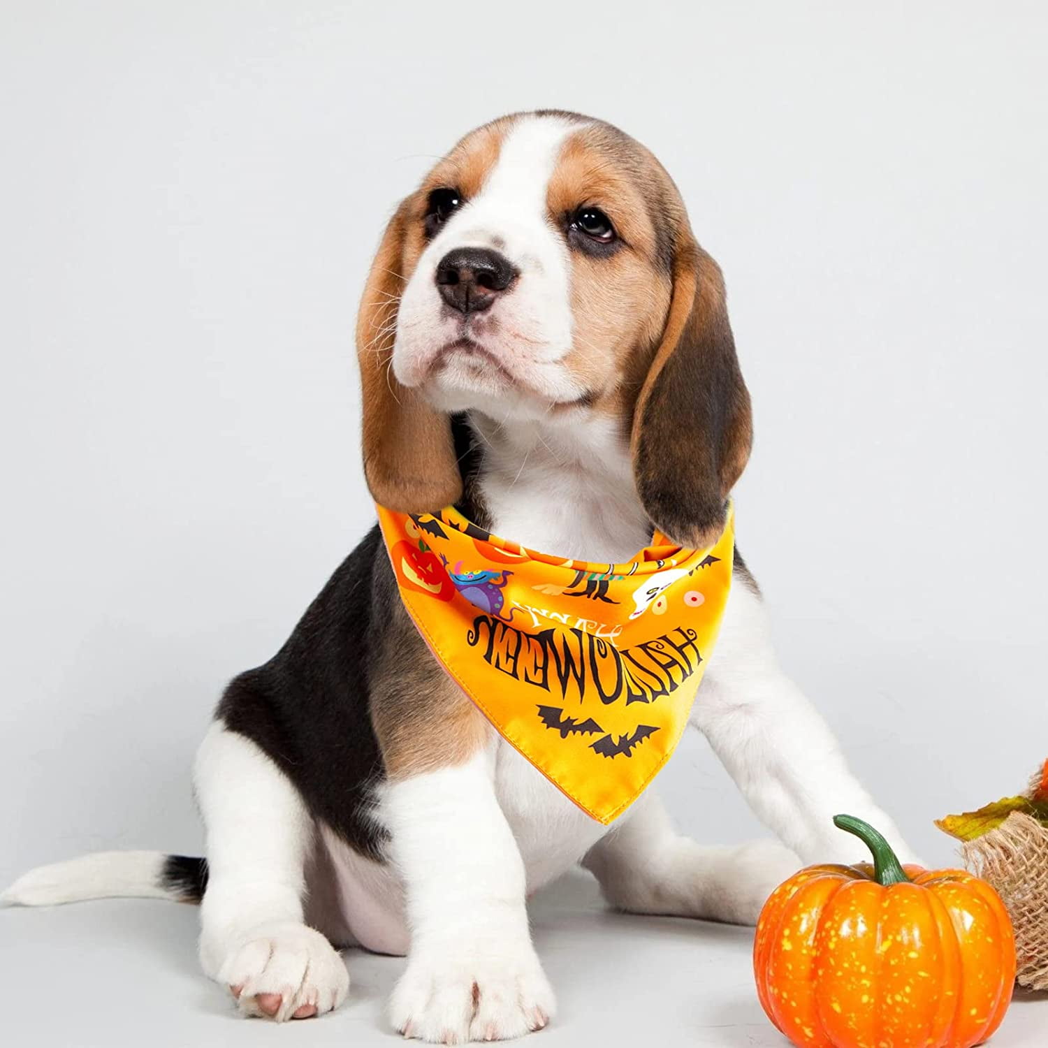HAHDAXIA 2 Pack Halloween Dog Bandana Pumpkin Pattern Dog Bandana Reversible Fall Pet Scarf for Medium Large Dog Dog Triangle Bibs Dogs Cats Pets