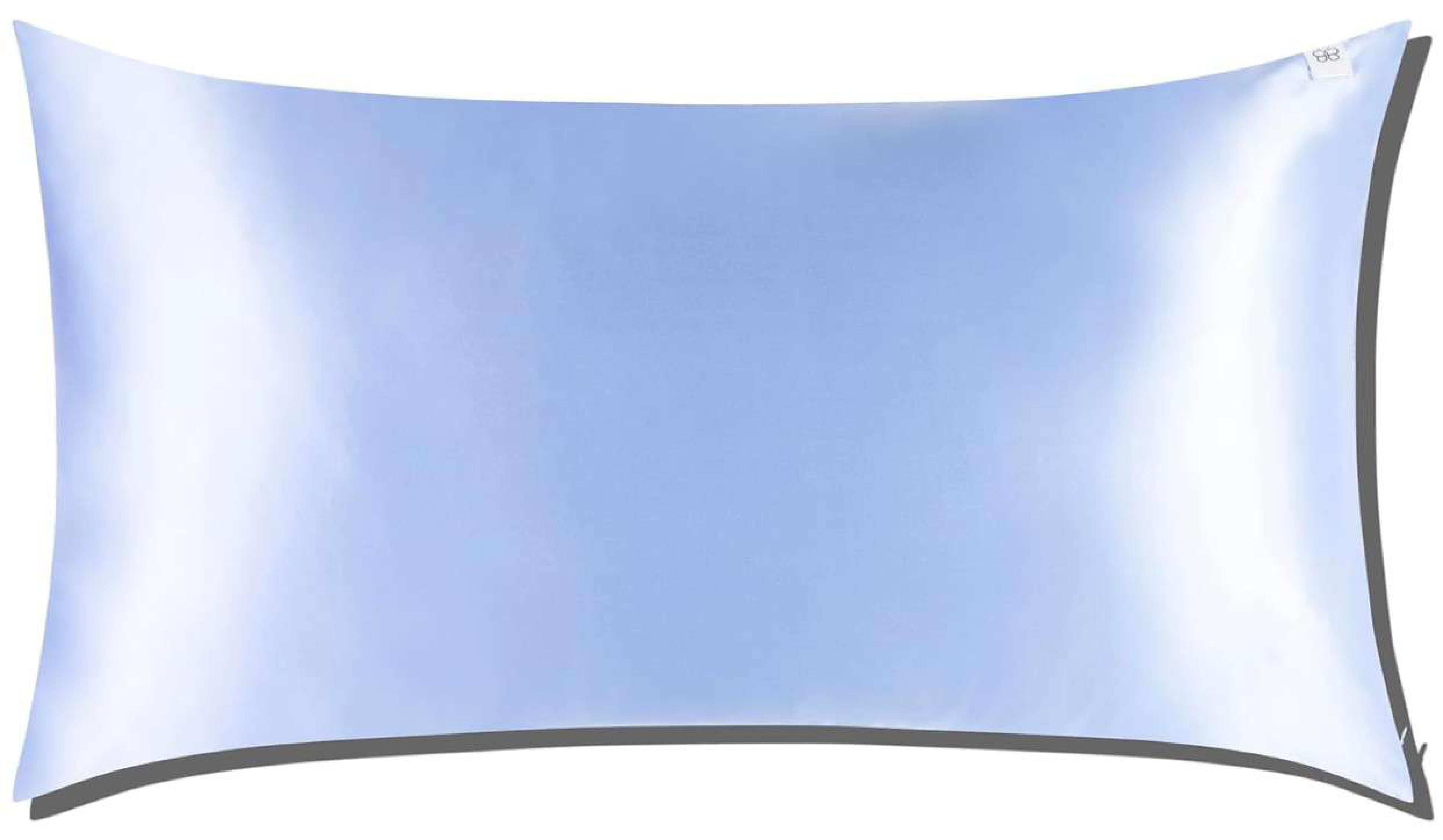 100% Pure Mulberry Silk Pillowcase, King, Blue, 22 Momme, Pillow Cover Case with Hidden Zipper