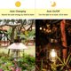 thumbnail image 3 of Vintage hanging metal solar lantern with warm LED lights for garden, patio, tree, solar lighting for landscape,, 3 of 5