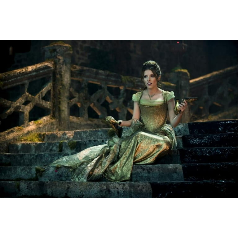 Amazon.com: Into the woods [Blu-ray] [Import anglais