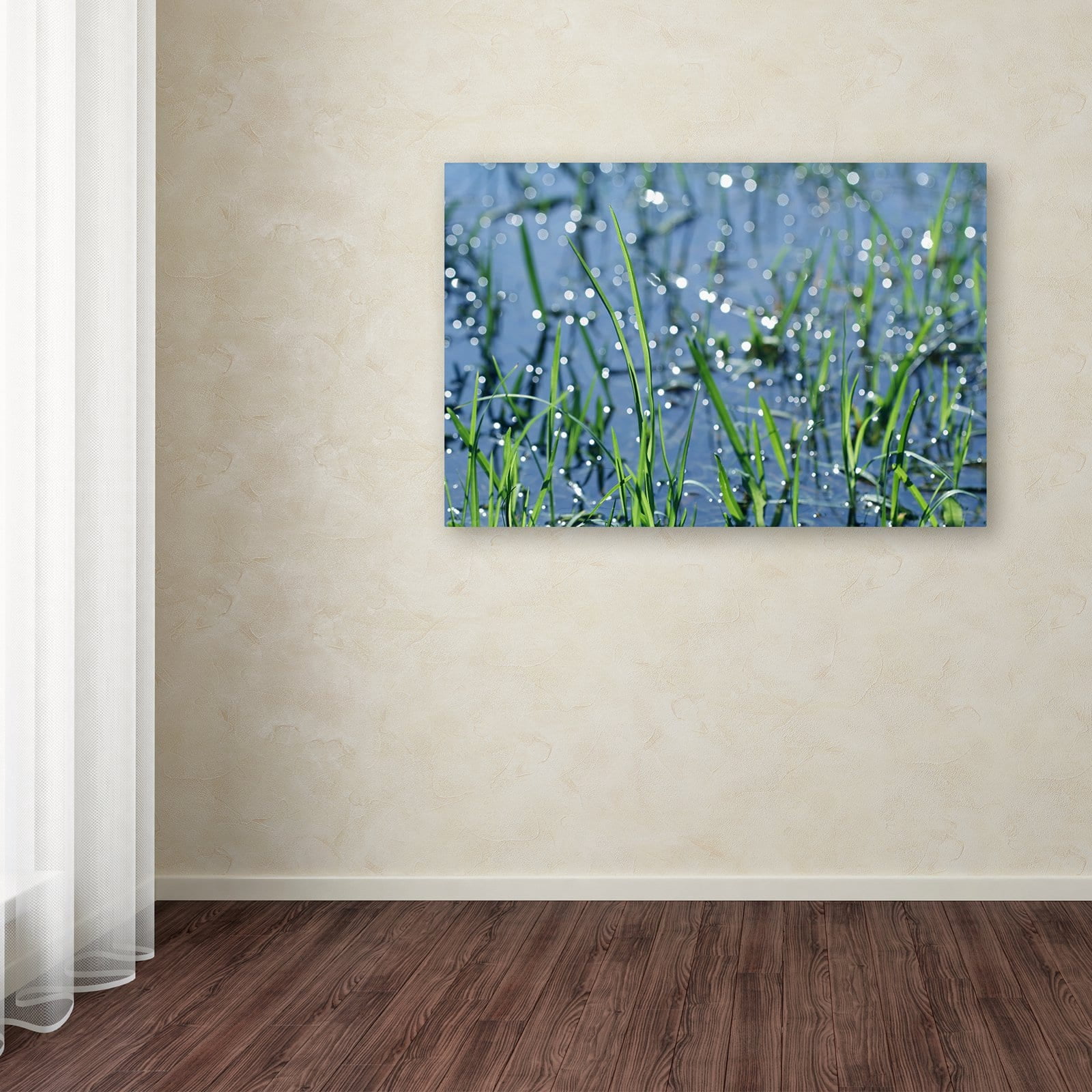 Trademark Fine Art "After the Rain" Canvas Art by Beata Czyzowska Young