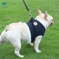 thumbnail image 6 of Deago Stretch Fleece Lined Warm Dog Jacket Coat with Leash Puppy Soft Winter Windproof Reflective Sweater for Small Medium Dogs Clothes, 6 of 10