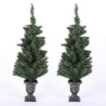 LuxenHome 4 ft. Porch Trees with LED Lights Set of 2