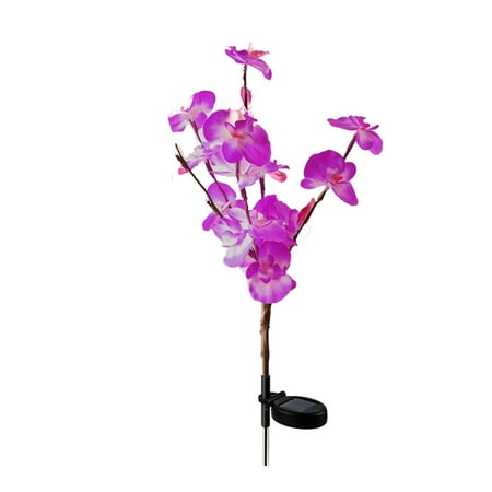 

Natural Light Bulbs for Bathroom Ceiling Light Cover Shade Light Bulb Lights Wi Motion Lamp Holder Solar Orchid Lamp Projection Lamps for Kids outside Solar Lights for Lights for Car Roof