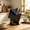 Black, variant on Stainless Steel Kitchen Knife Holder Countertop Storage Rack - Rotatable Knife Block Organizer for Knives Scissors and Chopsticks - Multifunctional Tool Hold