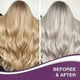 thumbnail image 5 of Purple Hair Mask for Blonde Silver Gray Hair, Neutralizes Brass Tones, Deep Nourishing Conditioner, 100ml, 5 of 5