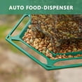 thumbnail image 3 of PHANCIR Bird Feeder for Outdoor Hanging, Expandable 7.8'' Tall Latch Feature, Heavy Duty Bird Feeders for Outside Garden Yard Decoration Green, 3 of 11