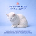 thumbnail image 5 of Coco and Luna Multivitamin for Cats - Daily Support - L-Lysine, Taurine, and Spirulina for Immune Support and Eye Health, 5 of 8