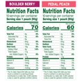 thumbnail image 3 of Fruit & veggieZ Applesauce and Puree Variety Pack, Jurassic Pear, Roarrrr Berry & Prehistoric Peach, 3.2 oz (Pack of 20), Unsweetened Snacks for Kids, BPA Free Pouches, 3 of 5