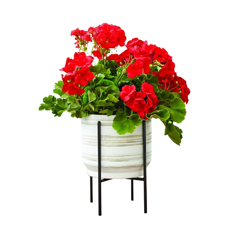 Mainstays 8" Black Metal Versatile Plant Stand photo 4