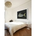 thumbnail image 6 of Marmont Hill "Roosterfish" by Warren Sellers Framed Painting Print, 6 of 6