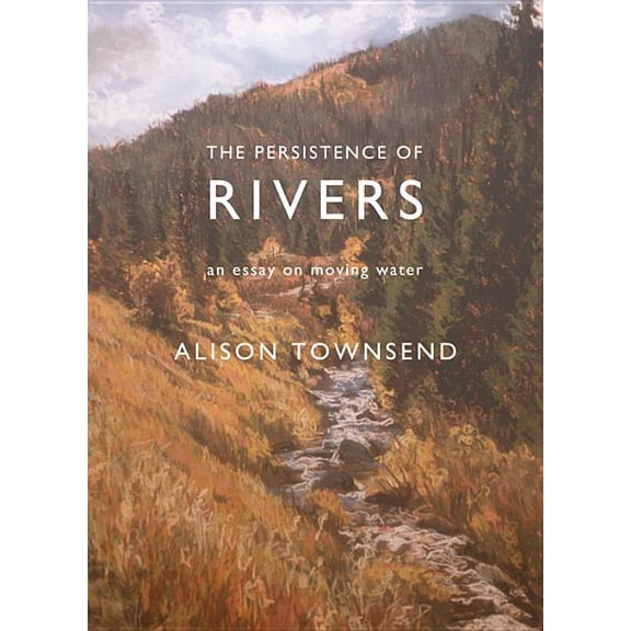 The Persistence of Rivers (Paperback)