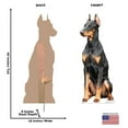 thumbnail image 5 of Cardboard People Doberman Dog Life Size Cardboard Cutout Standup - Made in USA, 5 of 5