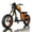 Gold, variant on BIGNIU BG-X Electric Bike for Adults,740W Brushless Motor 48V/31.5Ah Up to 40 Miles E-Bike Front/Rear Turn Signal Dual Suspension Ebikes UL2849