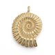 thumbnail image 3 of Tibetan Style Alloy Pendants Lead Free & Nickel Free & Cadmium Free Nautilus Shell Real 18K Gold Plated Matte Gold Color 37x27x7mm Hole: 3mm, 3 of 4