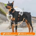 thumbnail image 4 of Táctico Pechera Arnés De Seguridad Perro Mediano Y Grande542, 4 of 7