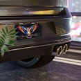 thumbnail image 6 of License Plate, Rainbow winged Owl Decorative Front,Personalized Stainless Steel License Plate Cover For Men Women,12.2" X 6.2", 6 of 6