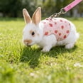 thumbnail image 6 of Bunny Harness and Leash Set for Rabbits & Small Pets - Escape-Proof Rabbit Harness with Adjustable Clothes - Soft Bunny Leash for Guinea Pigs, Ferrets & More, 6 of 6