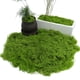 thumbnail image 5 of Musgo verde artificial de 30/100 g para manualidades, plantas de interior, jardines de hadas, centros de mesa, peceras, micropaisajes, musgo artificial decorativo., 5 of 8