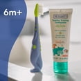 thumbnail image 5 of Dr. Talbot's Toddler Training Toothbrush and Natural Kids Toothpaste with Citroganix - 1.6 oz - Fluoride-Free Toothpaste and Toddler Toothbrush - 6+ Months - Dinosaur, 5 of 8
