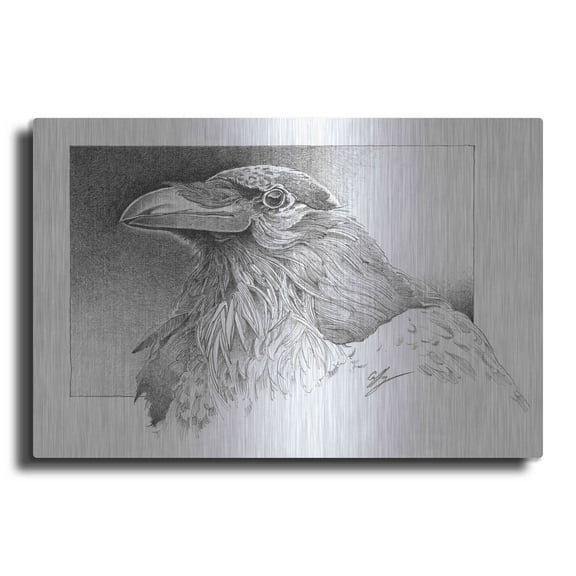Luxe Metal Art 'Ravens Head' by Durwood Coffey, Metal Wall Art, 24"x16"
