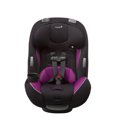 Safety 1st Continuum 3in1 Convertible Car Seat, Hollyhock