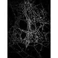 thumbnail image 2 of Carson, Brian 25x32 White Modern Wood Framed Museum Art Print Titled - Spiderweb No 4, 2 of 4
