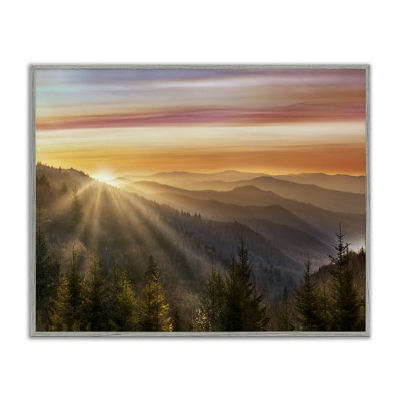 Sunrise Through Mountain Forest Skyline Gray Framed Giclee Art, 14 x 11, Made In USA
