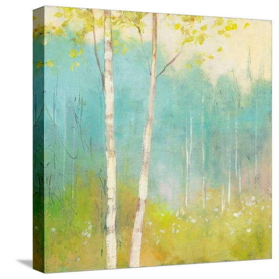 Art.com Spring Fling I Stretched Canvas Print Wall Art by Julia Purinton, 16" x 16"