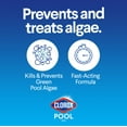 thumbnail image 6 of Clorox Pool&Spa Green Algaecide Eliminator 2 Liquid, 32 oz, 6 of 10