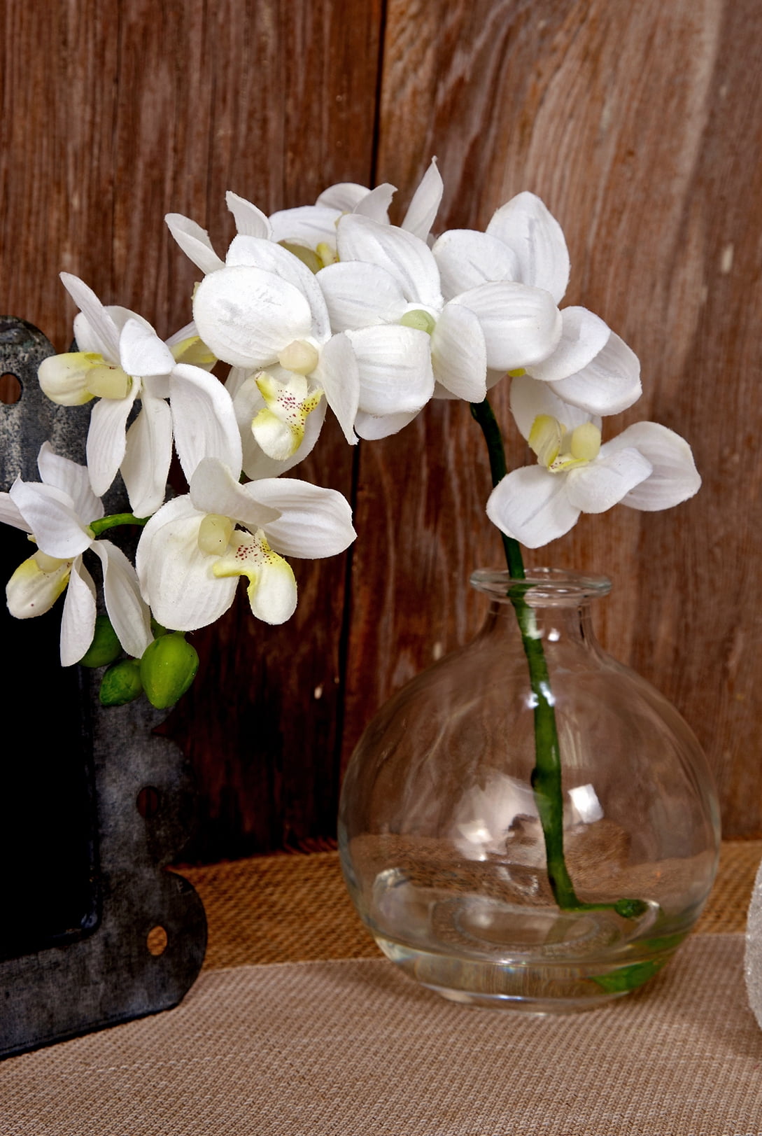 White Orchid Stem in Glass Vase 10in. Tall Blooms Are 2in ...