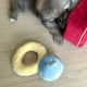 thumbnail image 5 of Precioso juguete de peluche con forma de caja de anillos, juguetes con voz para perros, juguetes para esconder comida para mascotas, 5 of 6