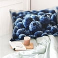 thumbnail image 6 of Disketp Pillow Covers Blueberry Pattern Throw Pillow Case Cushion Covers,Cushion For Bedroom,Couch,Home-14"X20", 6 of 9