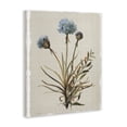 thumbnail image 2 of Stupell Industries Shabby Chic Natural Hydrangea Buds Canvas Art, 30 x 40, by Carol Robinson, 2 of 7
