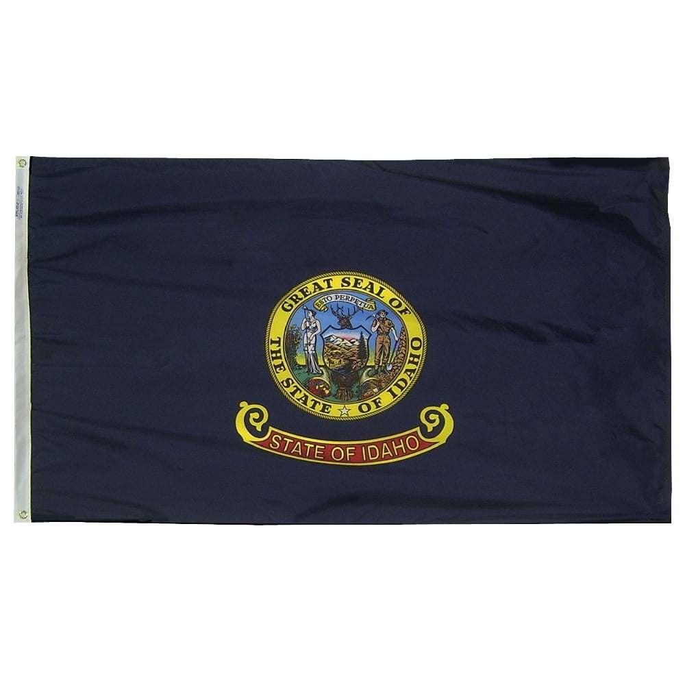 Annin Flagmakers Saudi-Arabien Flagge – Nyl-Glo SolarGuard, 0,6 X 0,9 M, Wetterfest, Made In USA