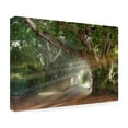 thumbnail image 4 of Trademark Fine Art 'Boca Grande Banyon Street' Canvas Art by Mike Jones Photo, 4 of 4